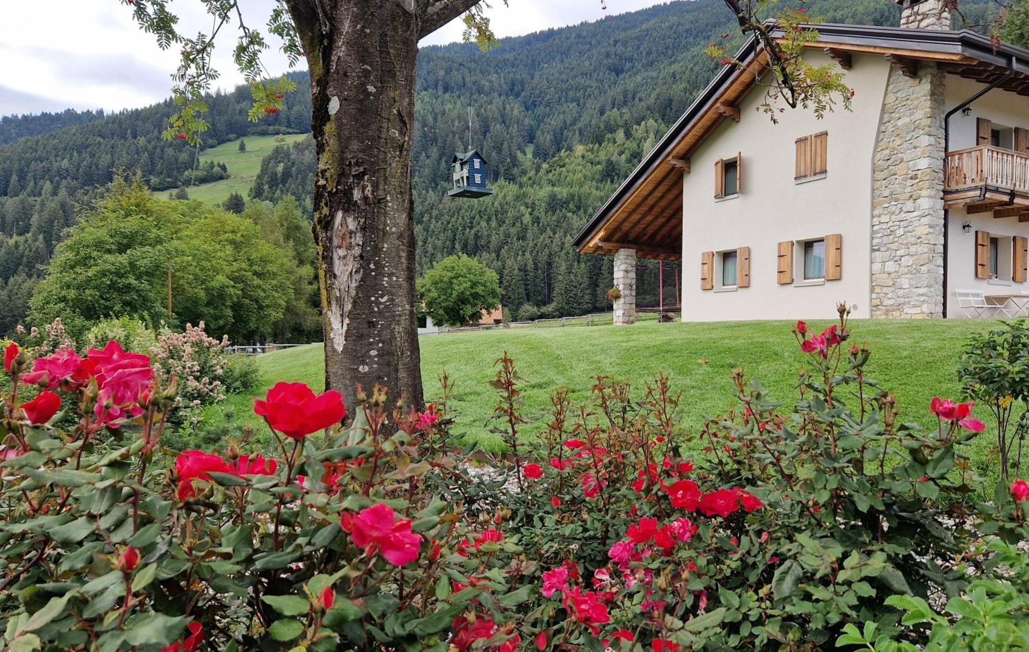 B&B La Paganina Borno Exterior photo